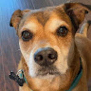 Meet your Posher, Katherine